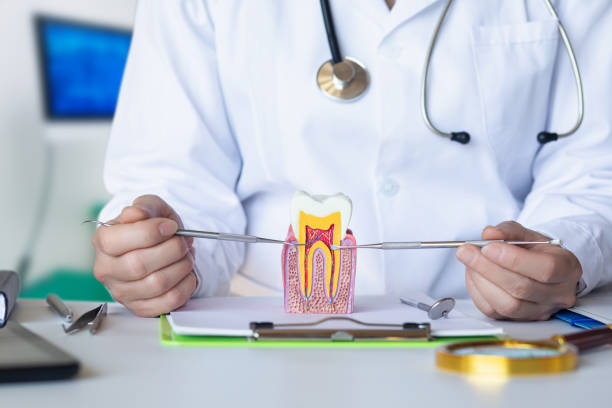 Best Knocked-Out Tooth Emergency  in Inwood, NY